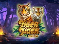 เกมสล็อต Tiger Tiger